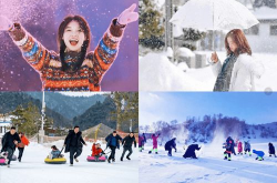 冰雪网红,冰封世界中的璀璨明星