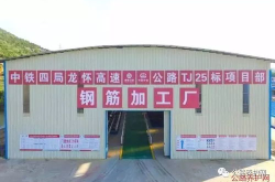 钢筋网红,揭秘建筑界的“钢铁侠”