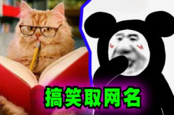 好玩的网名 搞怪,网名里的搞怪世界