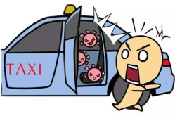 狗冠状病毒能存活多久,了解病毒持久性