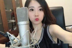 网红wxd,揭秘网络红人的崛起之路
