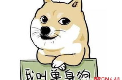 十大笑话排行榜,笑出腹肌的幽默瞬间
