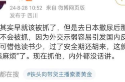 前科网红,从争议到重生，揭秘他们的蜕变之路
