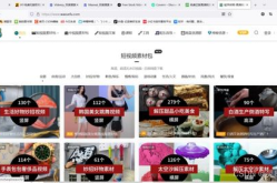 搞笑视频无水印下载,下载与使用指南