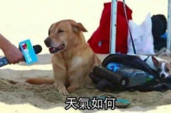 搞笑又智障的问题,揭秘那些让人捧腹大笑的智障问题